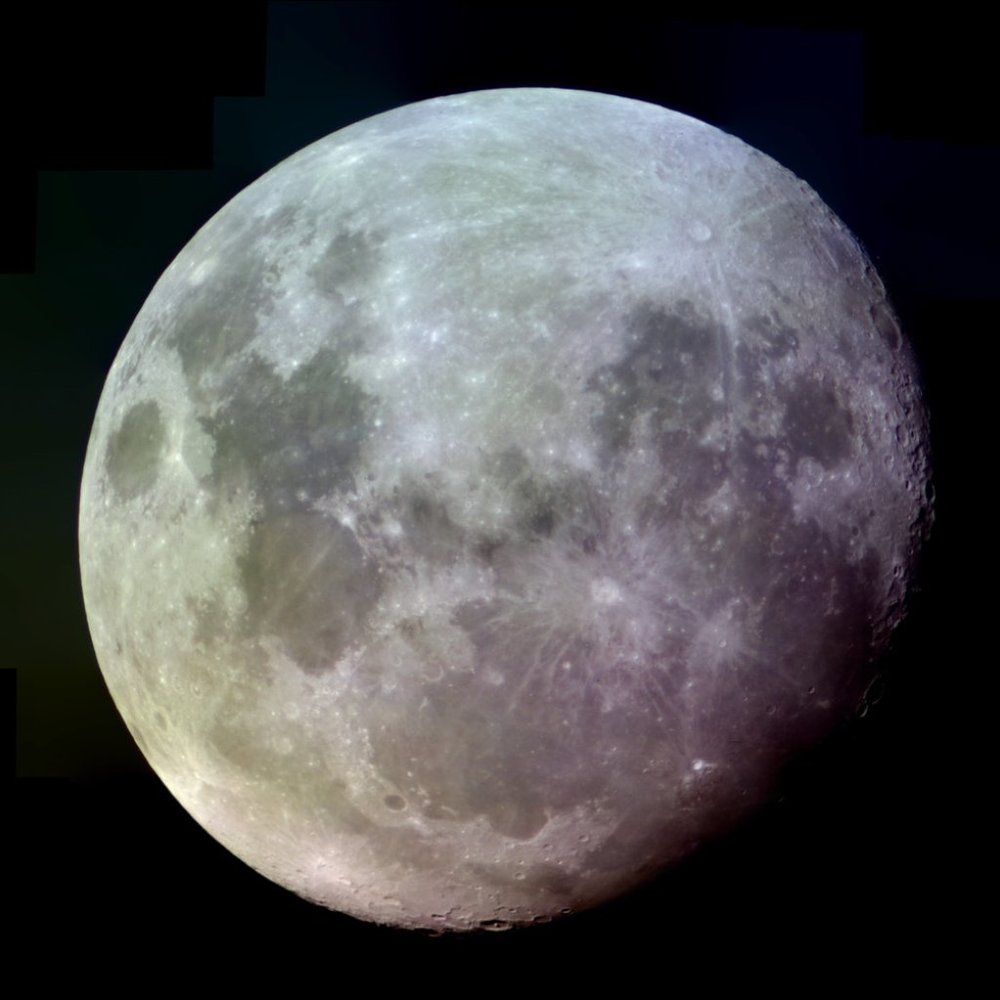 Meet your Posher, Isabella